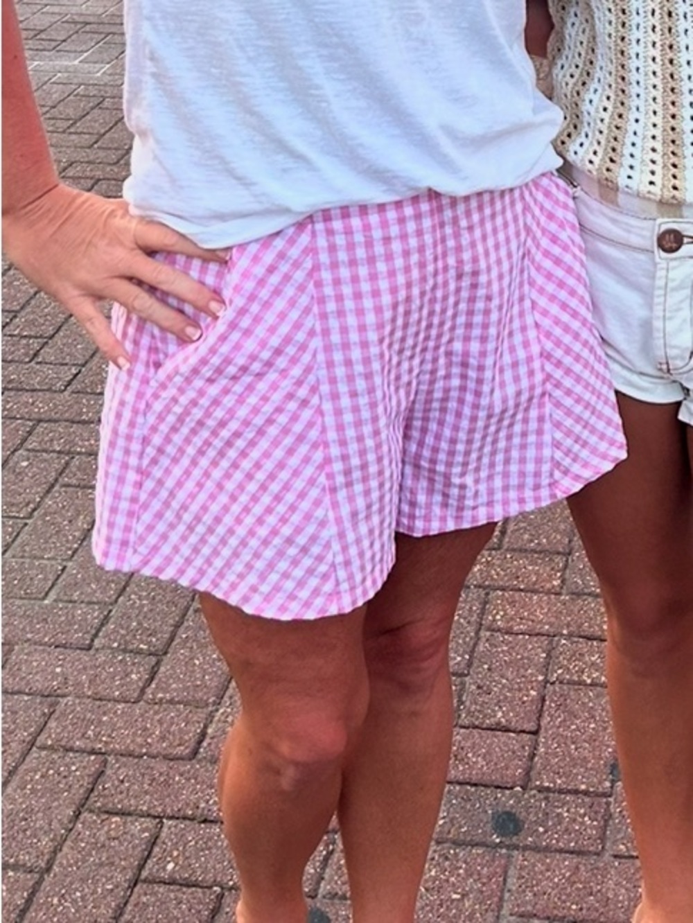 Pink Gingham Women's Elastic-Waist with zipper on side of Shorts